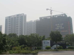 搶租南沙城好房 超低價機會，先到先得，可注冊公司